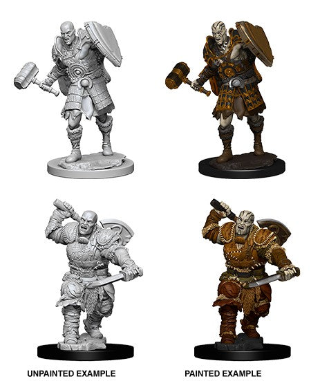 D&D W7 MALE GOLIATH FIGHTER