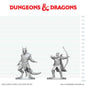 D&D NOLZURS ELF RANGER DRAGONBORN MONK